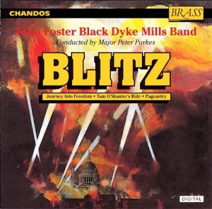 Various - Blitz ryhmässä CD @ Bengans Skivbutik AB (2013792)