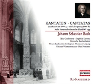 Bach - Cantatas ryhmässä CD @ Bengans Skivbutik AB (2014215)