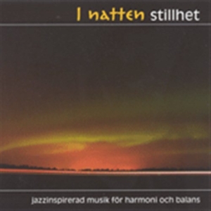 Various - I Natten Stillhet - 1Cd ryhmässä CD @ Bengans Skivbutik AB (2014669)