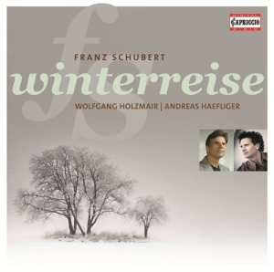 Schubert - Winterreise ryhmässä CD @ Bengans Skivbutik AB (2015944)