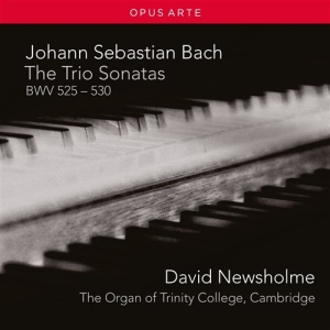 Bach J. S. - The Trio Sonatas ryhmässä CD @ Bengans Skivbutik AB (2017236)