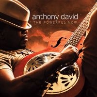 David Anthony - Powerful Now ryhmässä CD @ Bengans Skivbutik AB (2032428)