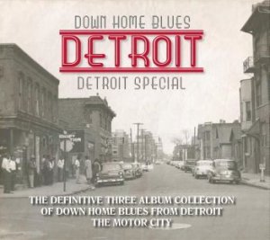 Various Artists - Down Home Blues Detroit (3Cd+Bok) ryhmässä CD @ Bengans Skivbutik AB (2032677)