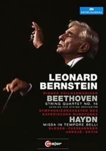 Bernstein - Conducts Beethoven / Haydn ryhmässä DVD & BLU-RAY @ Bengans Skivbutik AB (2035476)