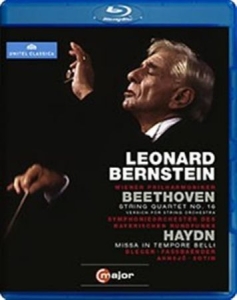 Bernstein - Conducts Beethoven / Haydn (Blu-Ray ryhmässä Musiikki / Musiikki Blu-Ray / Klassiskt @ Bengans Skivbutik AB (2035477)