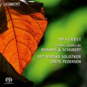 Brahms / Schubert - Im Herbst ryhmässä Musiikki / SACD / Klassiskt @ Bengans Skivbutik AB (2035875)