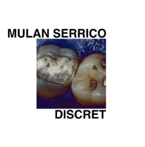 Serrico Mulan - Discret ryhmässä VINYYLI @ Bengans Skivbutik AB (2042577)