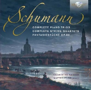 Schumann Robert - Complete Piano Trios & String Quart ryhmässä CD @ Bengans Skivbutik AB (2055656)