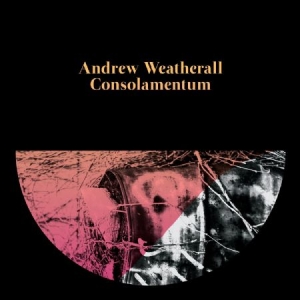 Weatherall Andrew - Consolamentum ryhmässä CD @ Bengans Skivbutik AB (2060763)