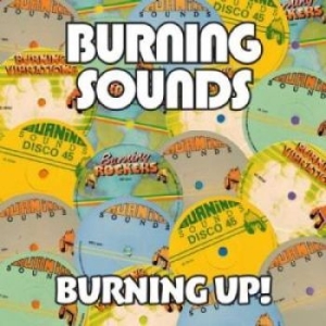 Various Artists - Burning Up! (4 Cd) ryhmässä CD @ Bengans Skivbutik AB (2072460)