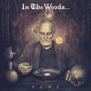 In The Woods - Pure (2 Lp) + Insert And Download C ryhmässä VINYYLI @ Bengans Skivbutik AB (2097762)