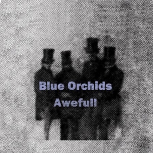 Blue Orchids - Awefull ryhmässä VINYYLI @ Bengans Skivbutik AB (2098359)