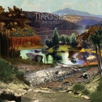 Tingsek - Amygdala ryhmässä CD @ Bengans Skivbutik AB (2098915)