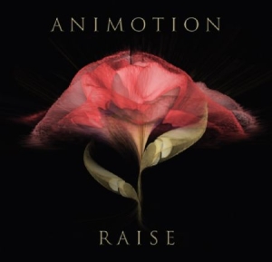 Animotion - Raise Your Expectations ryhmässä VINYYLI @ Bengans Skivbutik AB (2168075)