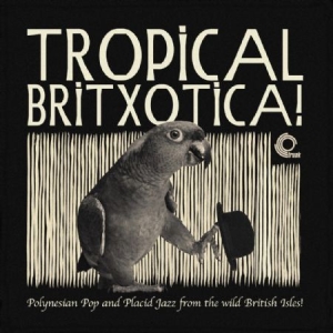 Various Artists - Tropical Britxotica! ryhmässä VINYYLI @ Bengans Skivbutik AB (2239304)