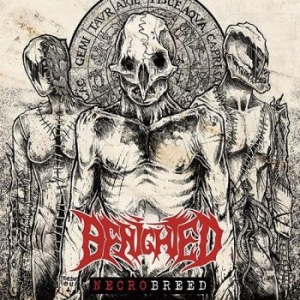 Benighted - Necrobreed ryhmässä CD @ Bengans Skivbutik AB (2249447)