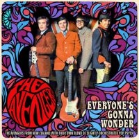 Avengers - Everyone's Gonna Wonder: Complete S ryhmässä CD @ Bengans Skivbutik AB (2255738)