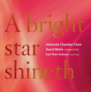 Härlanda Chamber Choir David Molin - A Bright Star Shineth ryhmässä ME SUOSITTELEMME / Joululahjavinkki: CD @ Bengans Skivbutik AB (2263673)