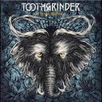 Toothgrinder - Nocturnal Masquerade ryhmässä ME SUOSITTELEMME / Joululahjavinkki: CD @ Bengans Skivbutik AB (2271534)