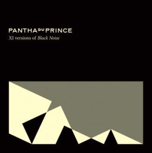 Pantha Du Prince - Xi Versions Of Black Noise ryhmässä CD @ Bengans Skivbutik AB (2284540)