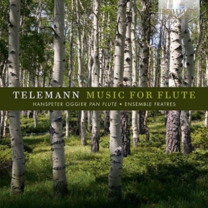 Hanspeter Oggier Ensemble Fratres - Music For Flute ryhmässä CD @ Bengans Skivbutik AB (2298922)