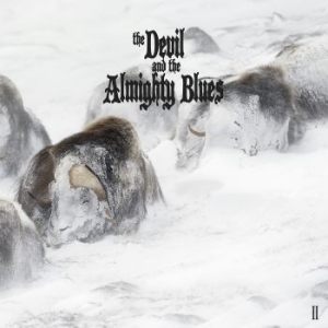 Devil And The Almighty Blues - Ii ryhmässä CD @ Bengans Skivbutik AB (2377274)