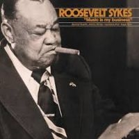 Sykes Roosevelt - Music Is My Business ryhmässä VINYYLI @ Bengans Skivbutik AB (2404670)