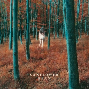 Sunflower Bean - I Hear Voices ryhmässä VINYYLI @ Bengans Skivbutik AB (2404709)