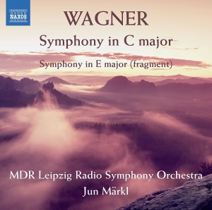 Mdr Leipzig Radio Symphony Orchestr - Symphony In C Major ryhmässä ME SUOSITTELEMME / Joululahjavinkki: CD @ Bengans Skivbutik AB (2405726)