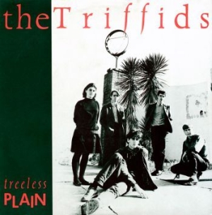 Triffids - Treeless Plain ryhmässä ME SUOSITTELEMME / Joululahjavinkki: CD @ Bengans Skivbutik AB (2407072)