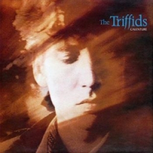 Triffids - Calenture ryhmässä CD @ Bengans Skivbutik AB (2414251)