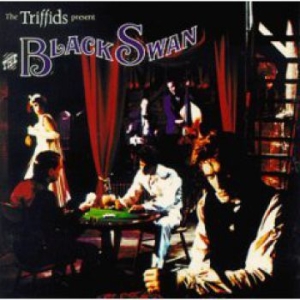 Triffids - Black Swan ryhmässä CD @ Bengans Skivbutik AB (2414252)