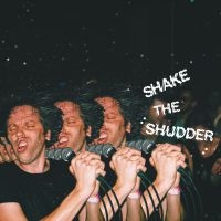 !!! (Chk Chk Chk) - Shake The Shudder (Transparent Viny ryhmässä VINYYLI @ Bengans Skivbutik AB (2417961)