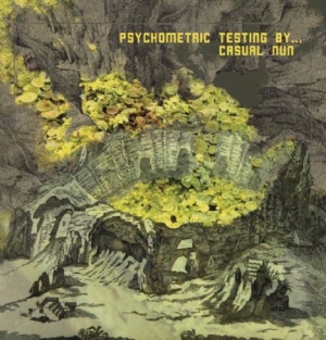 Casual Nun - Psychometric Testing By. ryhmässä VINYYLI @ Bengans Skivbutik AB (2422531)