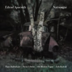 Apneseth Erlend - Nattsongar ryhmässä CD @ Bengans Skivbutik AB (2430438)