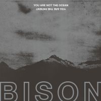 Bison - You Are Not The Ocean You Are The P ryhmässä VINYYLI @ Bengans Skivbutik AB (2437222)