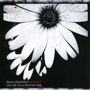 Stapleton Dave - House Always Wins ryhmässä CD @ Bengans Skivbutik AB (2465403)