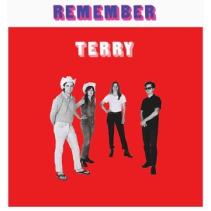 Terry - Remember Terry ryhmässä VINYYLI @ Bengans Skivbutik AB (2478695)