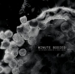 Tindersticks - Minute Bodies: The Intimate World of F. Percy Smith ryhmässä Musiikki / LP+DVD / Kommande / Rock @ Bengans Skivbutik AB (2486990)