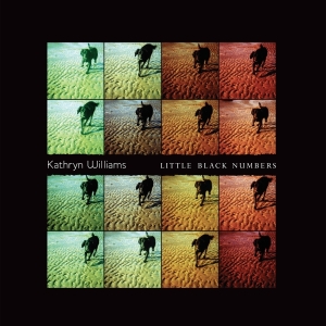 Williams Kathryn - Little Black Numbers ryhmässä VINYYLI @ Bengans Skivbutik AB (2510790)