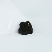 Wolfe Chelsea - Hiss Spun (2 Lp Vinyl) ryhmässä VINYYLI @ Bengans Skivbutik AB (2519873)