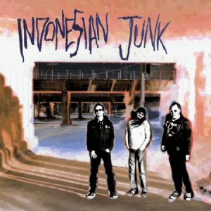 Indonesian Junk - Indonesian Junk ryhmässä VINYYLI @ Bengans Skivbutik AB (2519915)