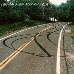 Ranaldo Lee - Electric Trim ryhmässä ME SUOSITTELEMME / Joululahjavinkki: CD @ Bengans Skivbutik AB (2520064)