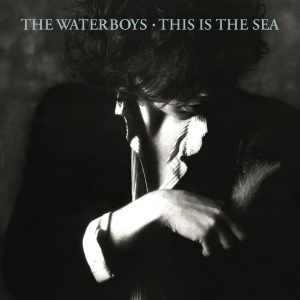 The Waterboys - This Is The Sea ryhmässä Minishops / Waterboys @ Bengans Skivbutik AB (2527346)