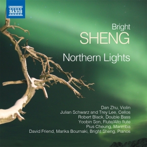 Sheng Bright - Northern Lights ryhmässä ME SUOSITTELEMME / Joululahjavinkki: CD @ Bengans Skivbutik AB (2527409)