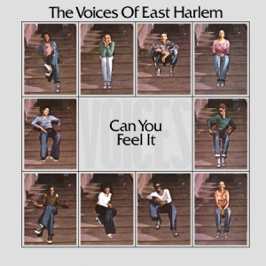 Voices Of East Harlem - Can You Feel It ryhmässä VINYYLI @ Bengans Skivbutik AB (2538552)