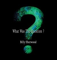 Sherwood Billy - What Was The Question? ryhmässä CD @ Bengans Skivbutik AB (2542464)