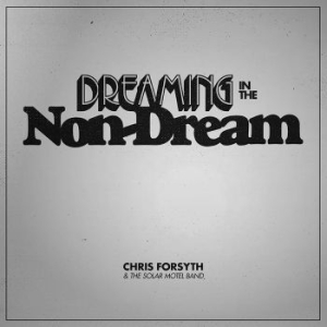 Chris Forsyth & The Solar Motel Ban - Dreaming In The Non-Dream ryhmässä VINYYLI @ Bengans Skivbutik AB (2543295)