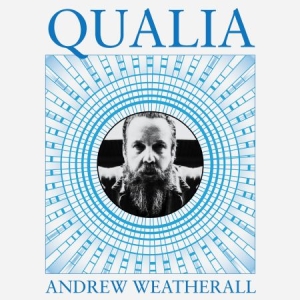 Weatherall Andrew - Qualia ryhmässä VINYYLI @ Bengans Skivbutik AB (2544116)