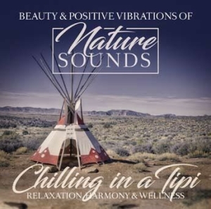 Various Artists - Chilling In A Tipi ryhmässä CD @ Bengans Skivbutik AB (2545390)